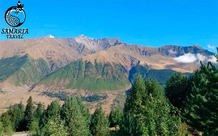 Family stay in village in Uzbekistan