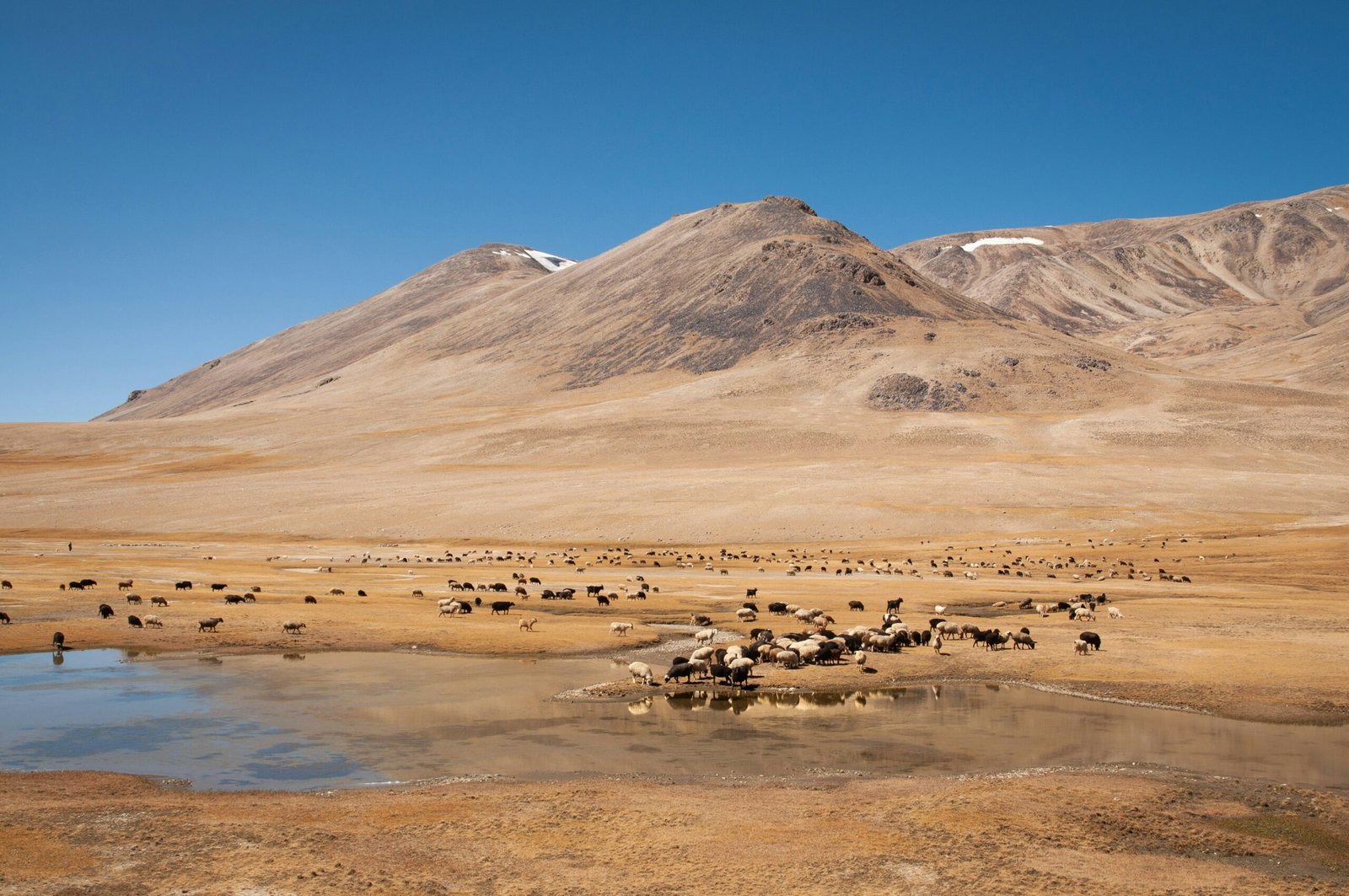 brown and white mountains under blue sky during daytime